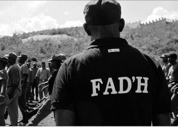 Haïti-Coronavirus : 4 membres des Forces armées d’Haïti infectés du Covid-19