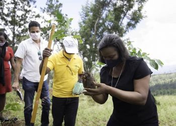 Haïti/Environnement : La Première dame Martine Moïse s’engage activement dans le reboisement