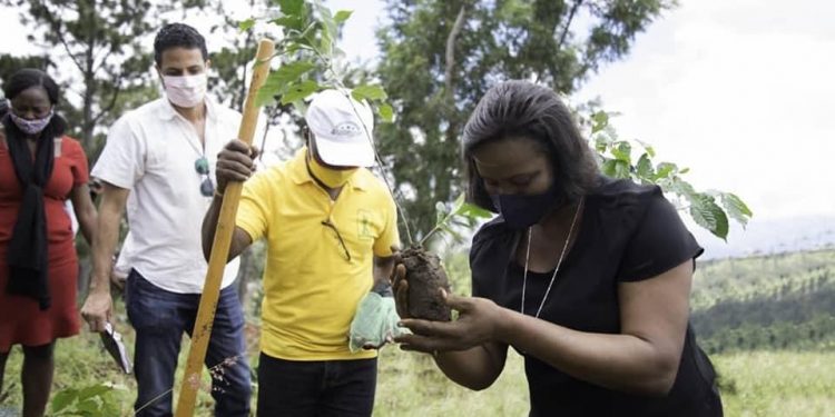 Haïti/Environnement : La Première dame Martine Moïse s’engage activement dans le reboisement