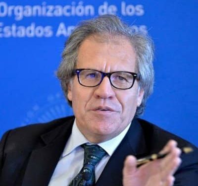 Haïti/Politique :  L’OEA renouvelle son appel à la réalisation des élections comme pour dire non à un Pouvoir de transition