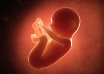 Opinion : Au cœur de l’avortement et en toute vérité