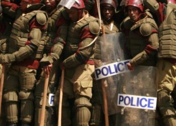 Kenya-Haïti-Force internationale  : la décision de la Haute cour contestée par le gouvernement du président William Ruto