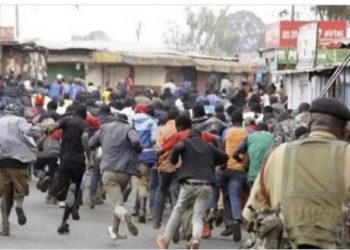 Terreur au marché de l’Arcahaie : les habitants réclament une action policière immédiate