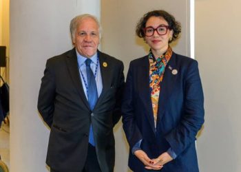 Haïti-Renforcement des relations internationales : la ministre Dominique Dupuy rencontre le Secrétaire général de l’OEA