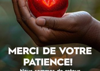 Haïti : Digicel rétablit le réseau dans le Grand Sud et annonce un plan de compensation pour ses clients