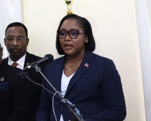 La ministre Sandra Paulemon au micro le discours d'installation 