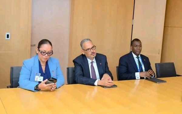 Haïti-Allemagne : Alix Didier Fils-Aimé plaide pour le renforcement de la coopération bilatérale